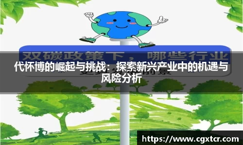代怀博的崛起与挑战：探索新兴产业中的机遇与风险分析